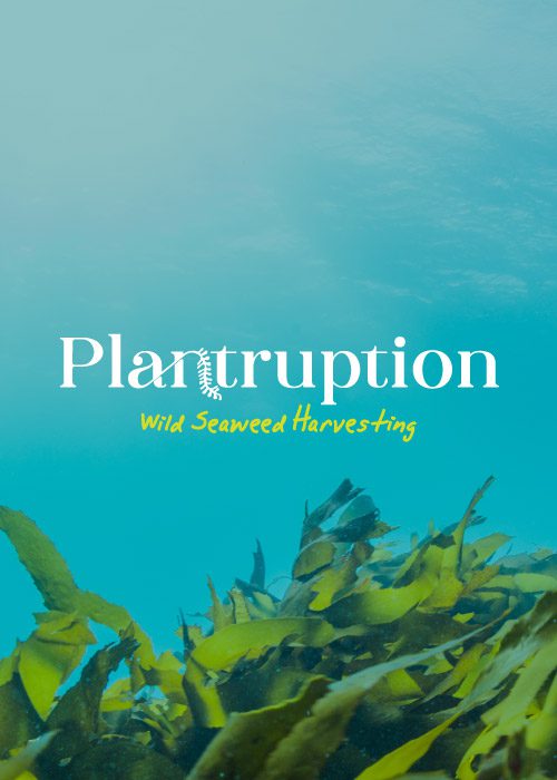 Plantruption